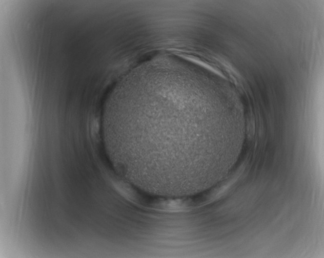 X0000115630365200911171340