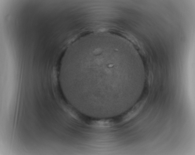 X0000115630366200911171340