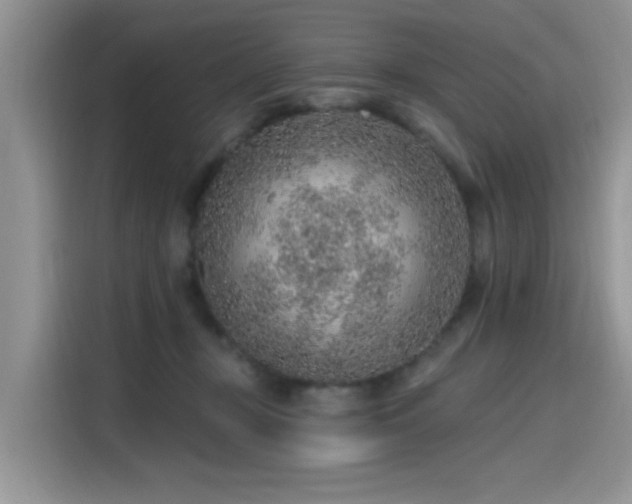 X0000115630367200911171340