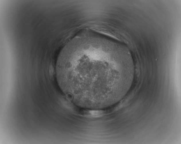 X0000115630371200911171340