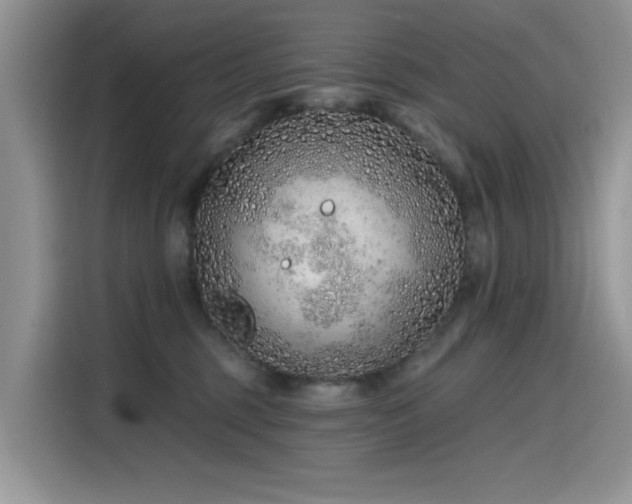 X0000115630375200911171341