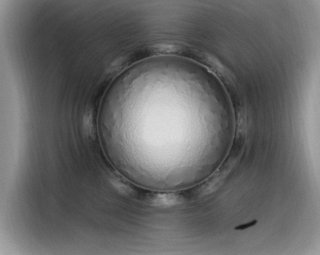 X0000115630377200911171341