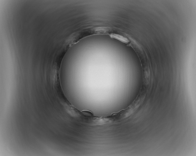 X0000115630379200911171341