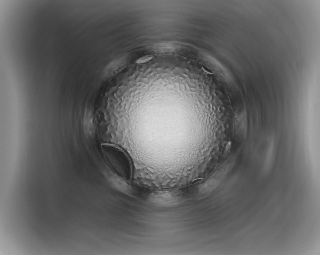 X0000115630381200911171341