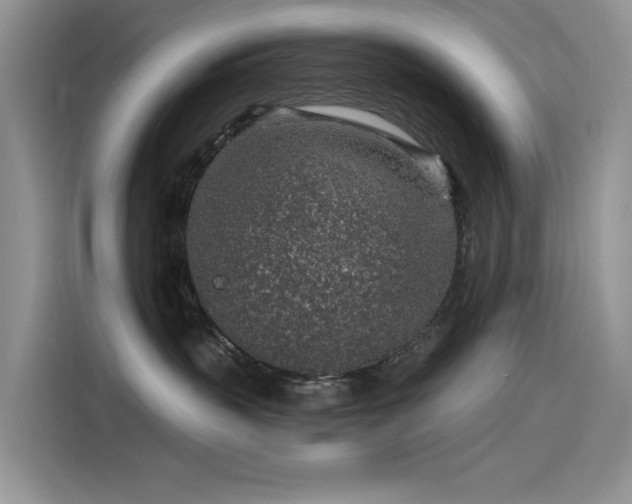 X0000115630383200911171341