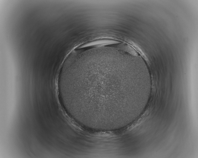 X0000115630386200911171340