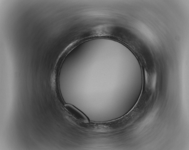 X0000115630387200911171340