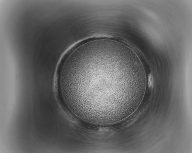 X0000115630388200911171340