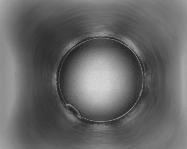 X0000115630389200911171340