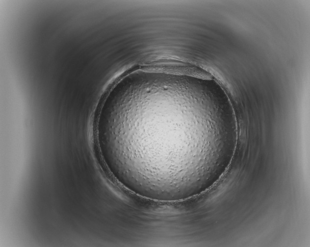 X0000115630390200911171340