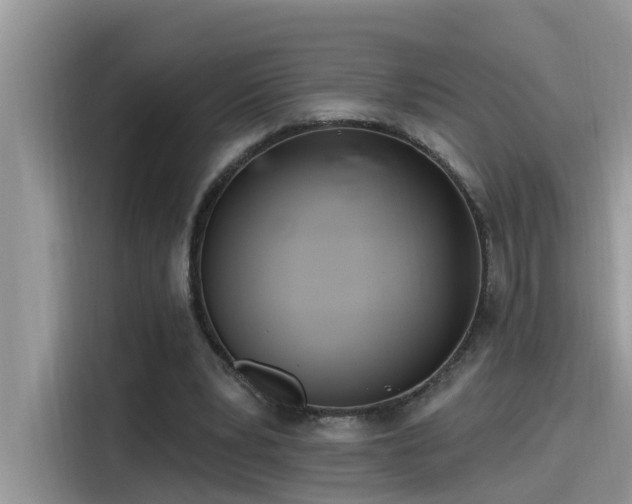 X0000115630391200911171340