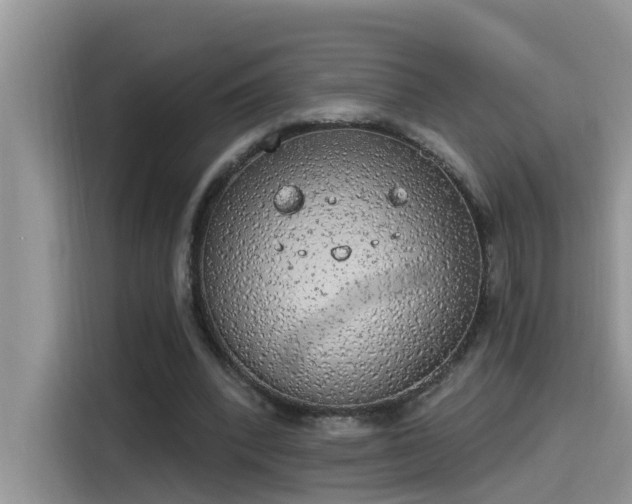 X0000115630392200911171340