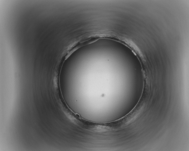 X0000115630393200911171340