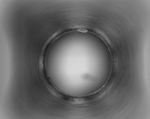 X0000115630395200911171340