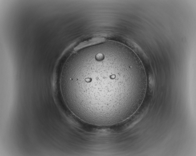 X0000115630396200911171340