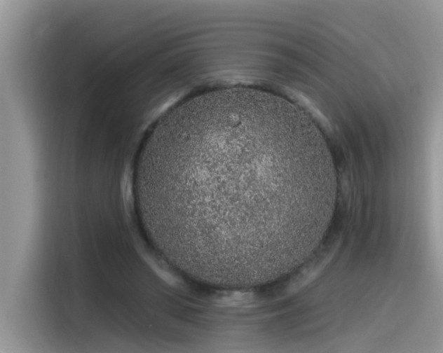 X0000115630398200911171340