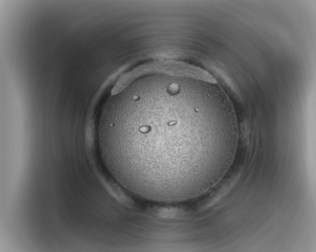 X0000115630400200911171340