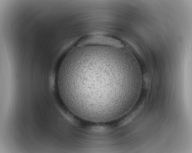 X0000115630404200911171340