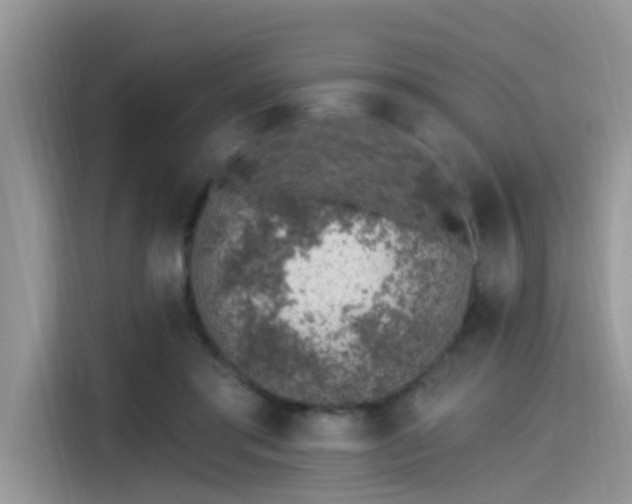 X0000115630405200911171340