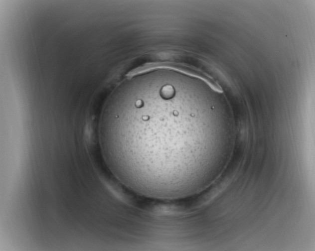 X0000115630408200911171340