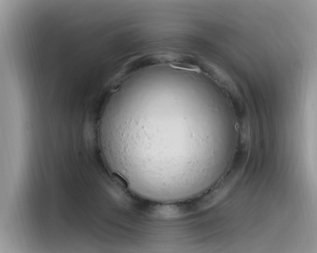 X0000115630409200911171340