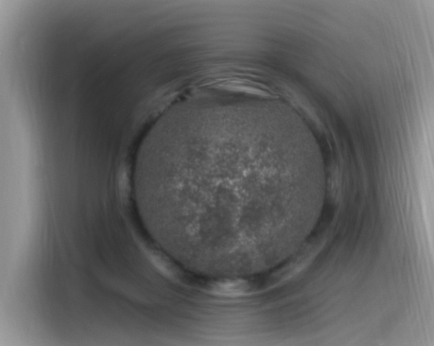 X0000115630410200911171340