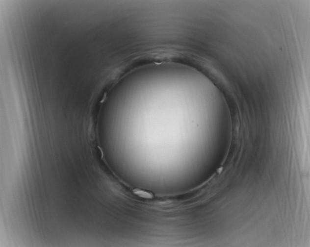 X0000115630411200911171340