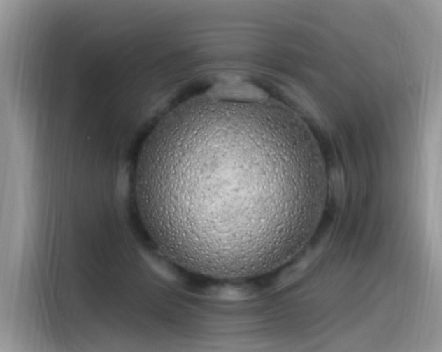 X0000115630412200911171340