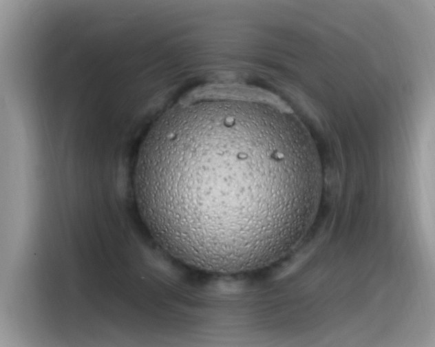 X0000115630416200911171340