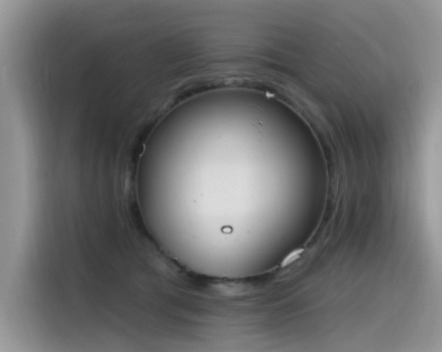 X0000115630417200911171340