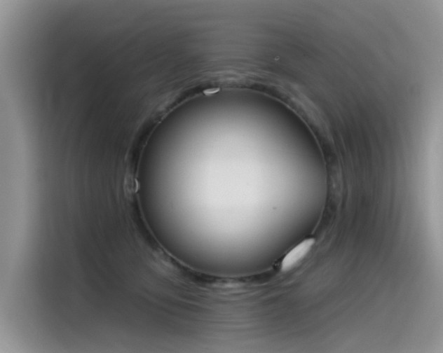 X0000115630419200911171340