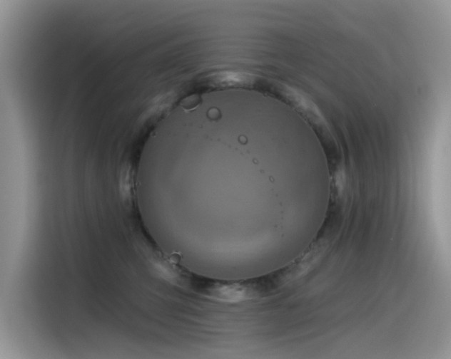 X0000115630423200911171340