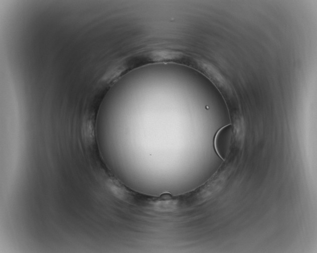 X0000115630426200911171339