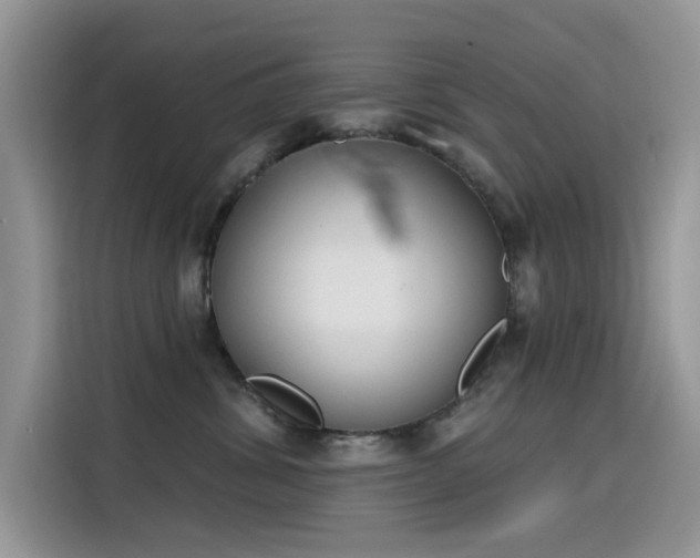 X0000115630428200911171339