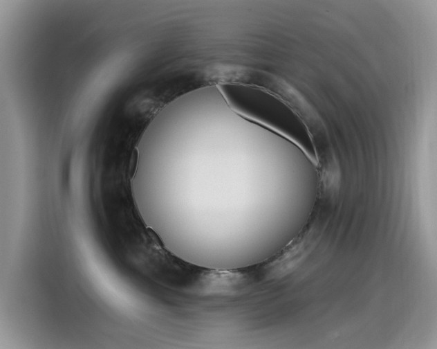 X0000115630429200911171339