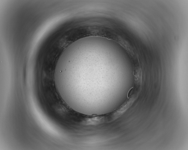 X0000115630430200911171339