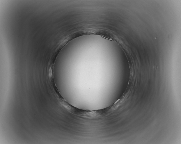 X0000115630431200911171339