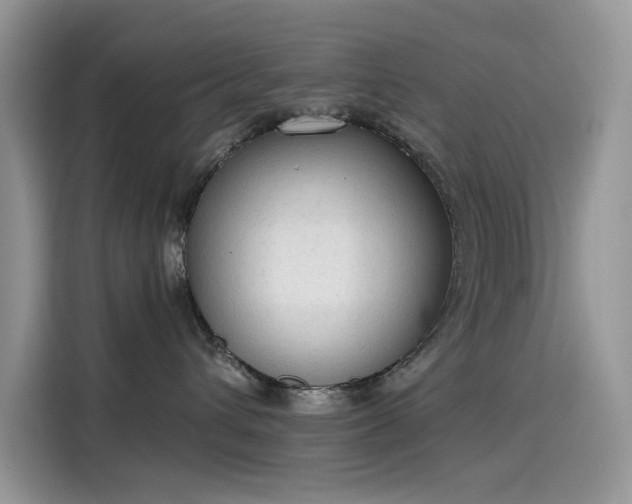 X0000115630432200911171339