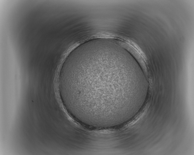 X0000115630433200911171339