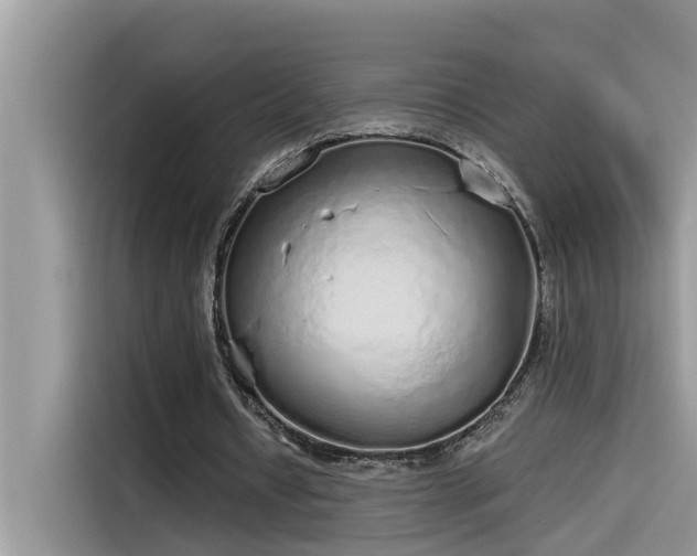 X0000115630434200911171339