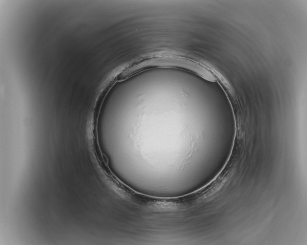 X0000115630437200911171339