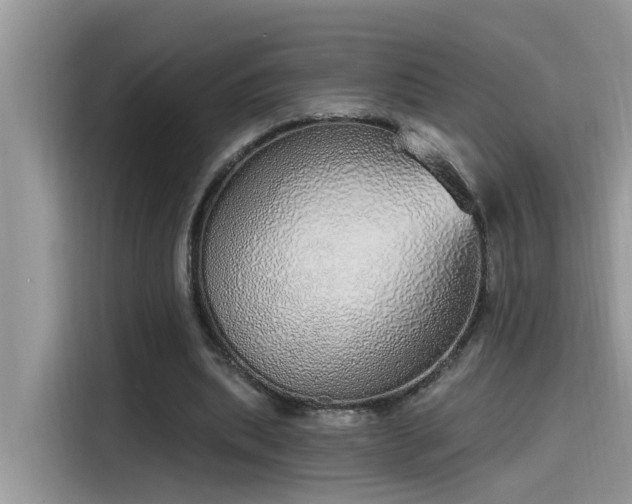 X0000115630439200911171339