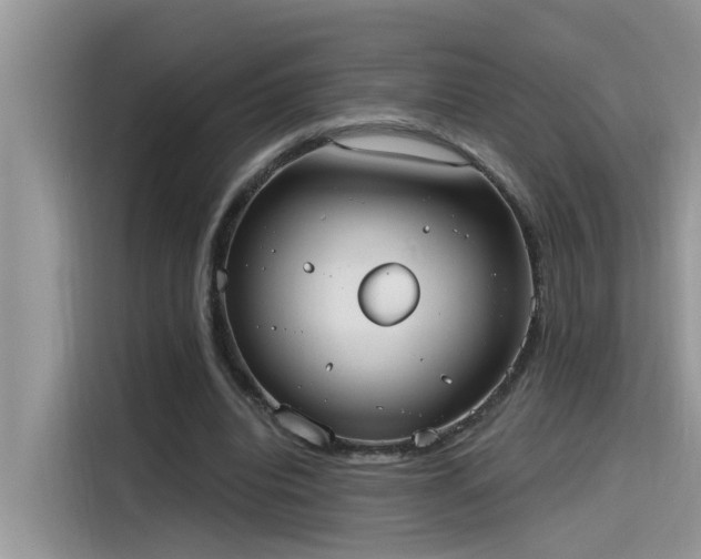 X0000115630440200911171339