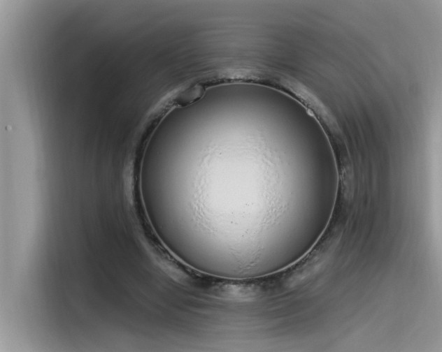 X0000115630442200911171339