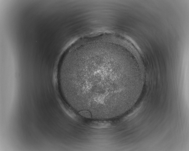 X0000115630443200911171339