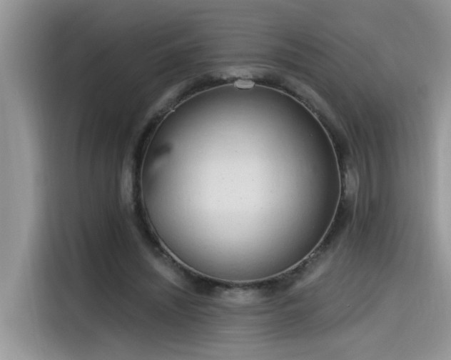 X0000115630444200911171339