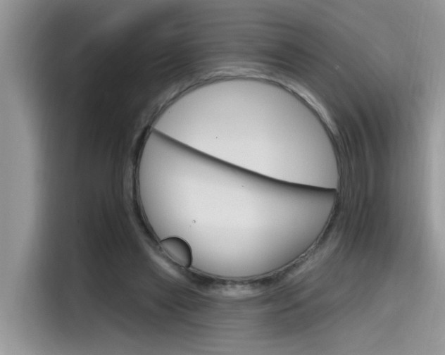 X0000115630445200911171339