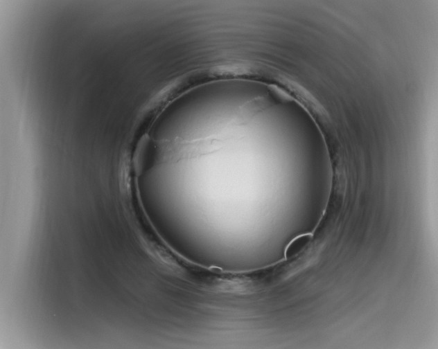 X0000115630446200911171339