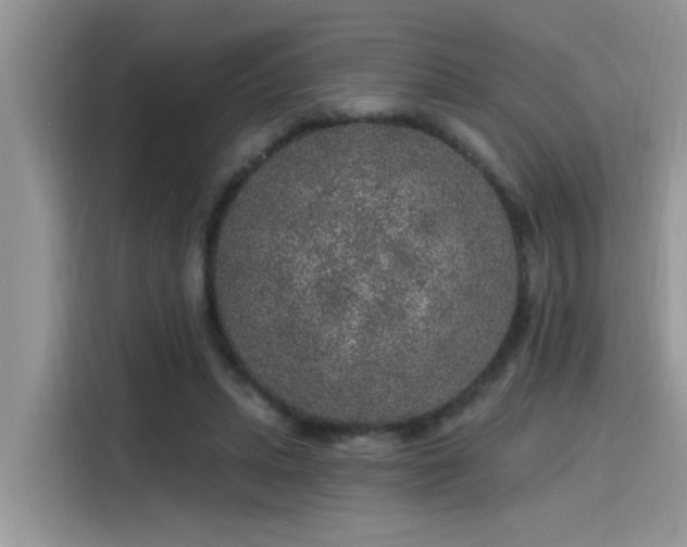 X0000115630447200911171339