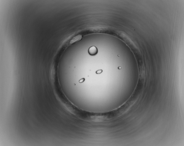 X0000115630448200911171339